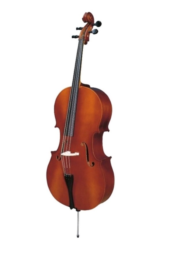Learn to Play the Cello – From Beginner to Advanced Lessons