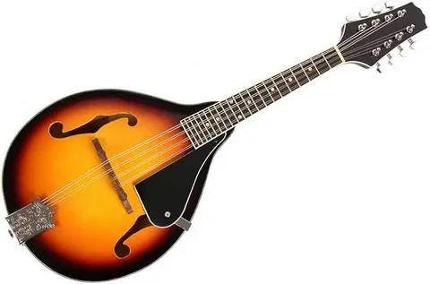 Advanced Mandolin Lessons – Elevate Your Skills in Bluegrass, Irish, Classical, and Jazz