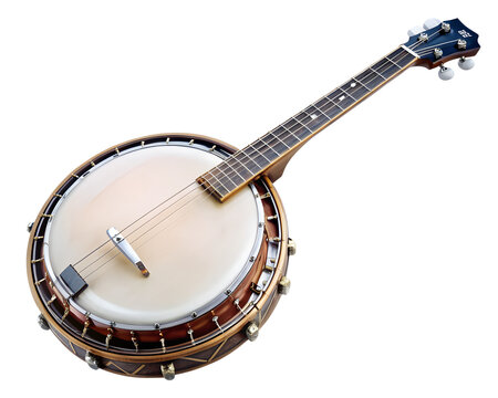 <h4>Advanced Banjo Lessons. </h4><h6>4 lessons for $120</h6>